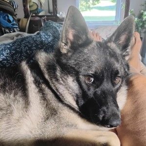 Meet your Posher, Bonnie